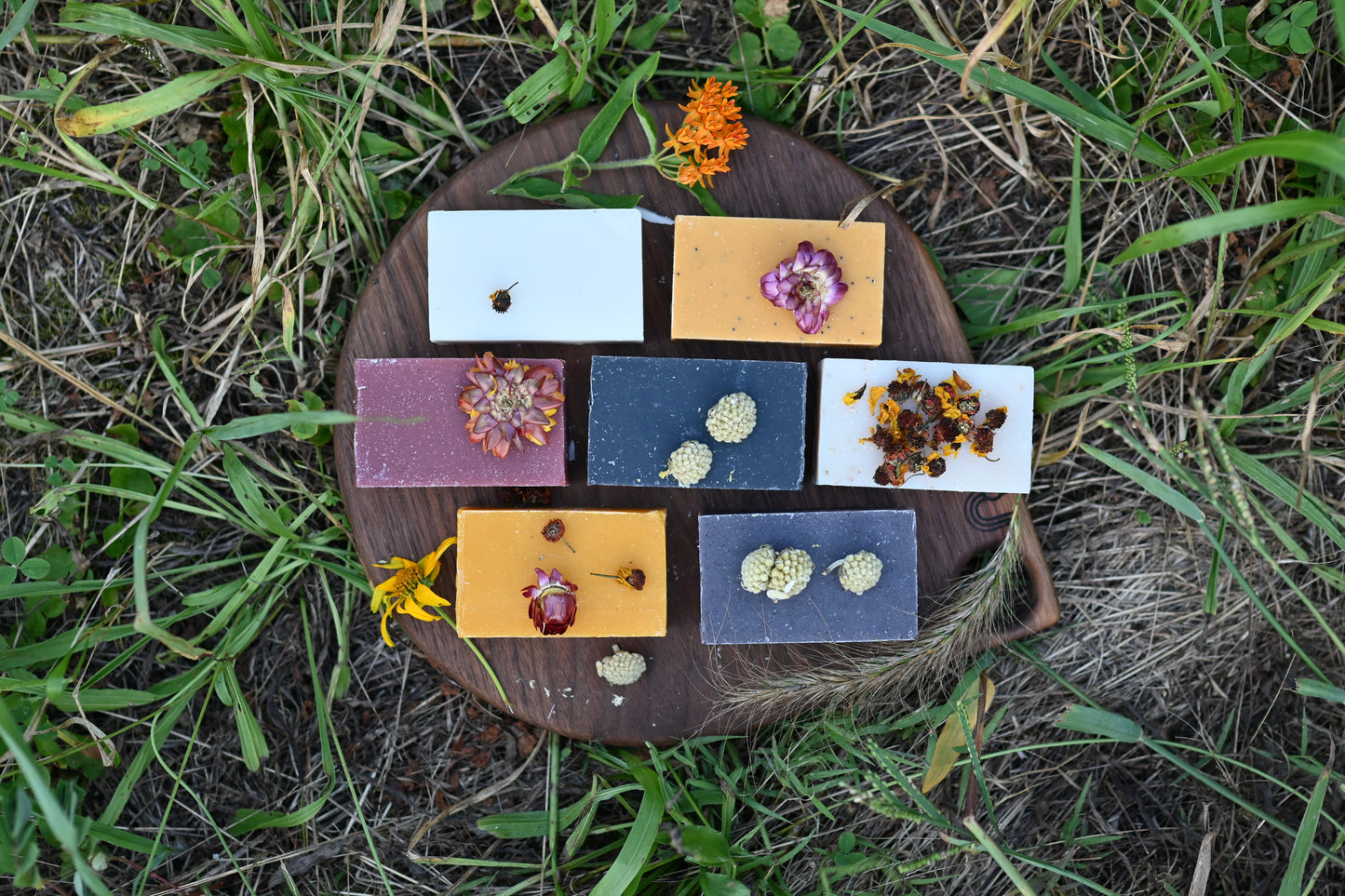 Fall Soap Collection (6 Pack)