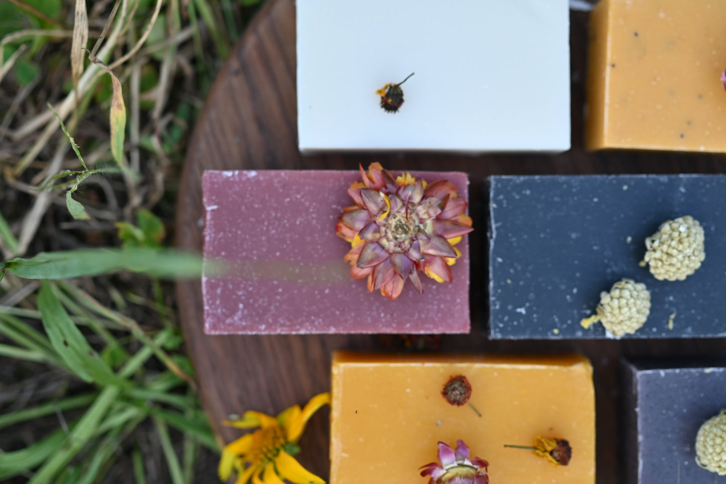 Fall Soap Collection (6 Pack)
