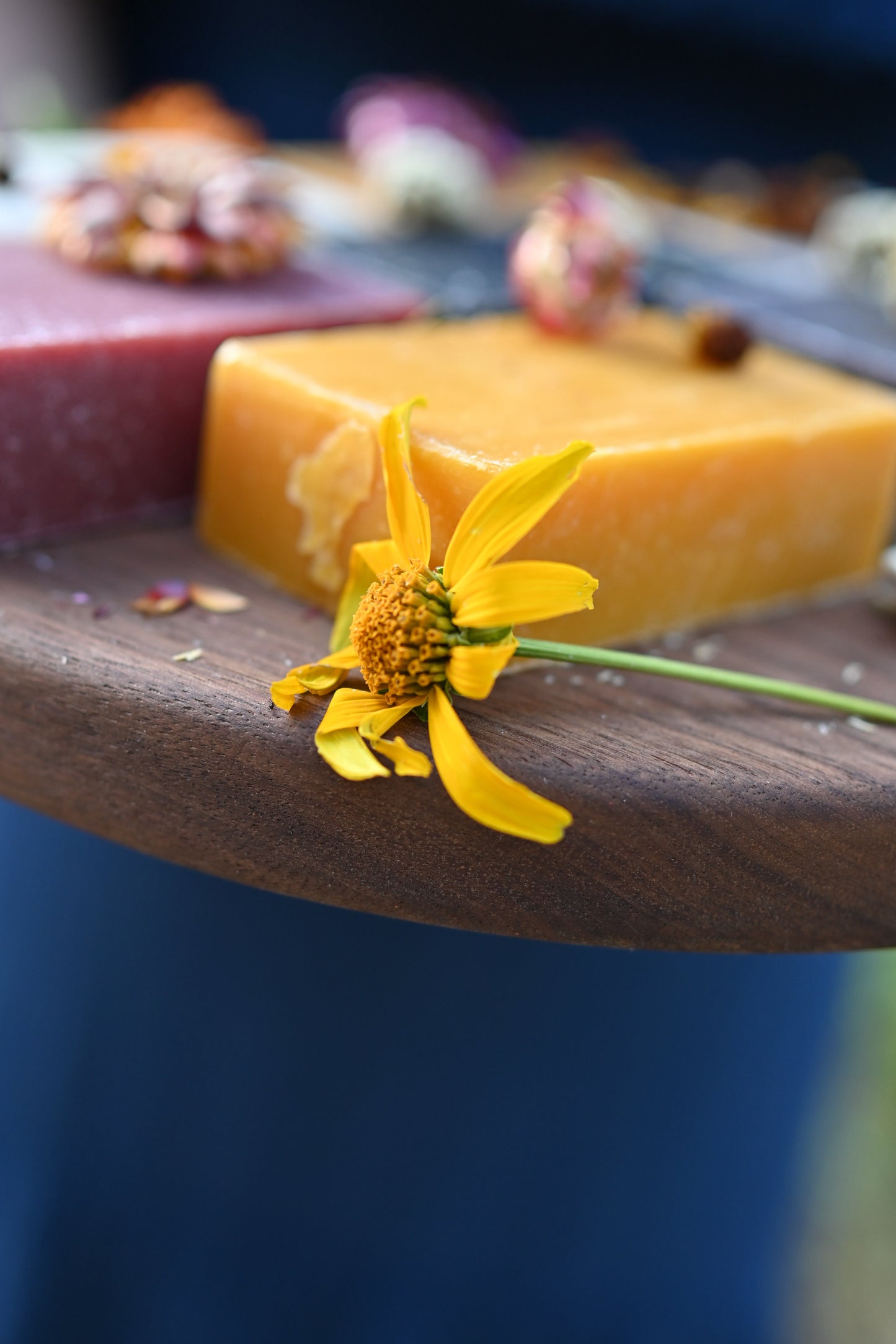 Fall Soap Collection (6 Pack)